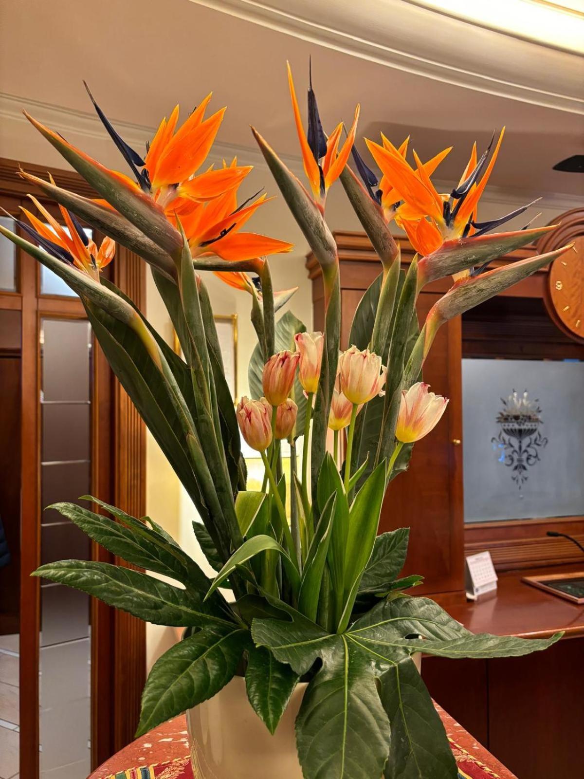 סן ג'יואבאני רוטונדו Hotel Valle Rossa מראה חיצוני תמונה